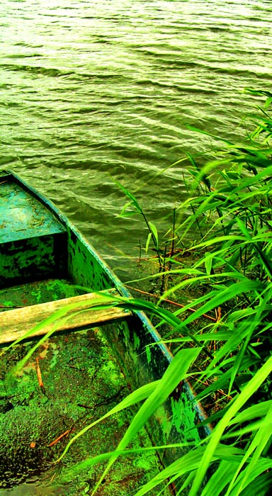 Rákosofka aneb Tam za vodou... ;)