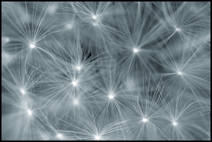 ...: stars :...