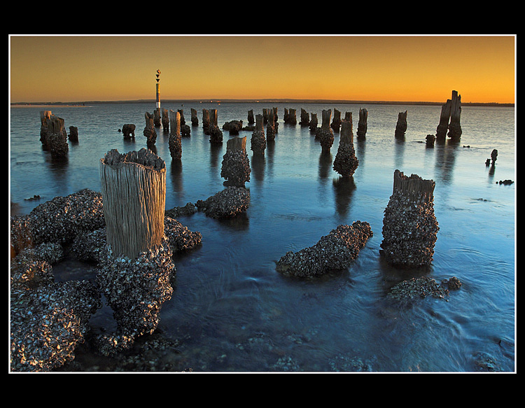 ~Podvecerni Botany Bay ~