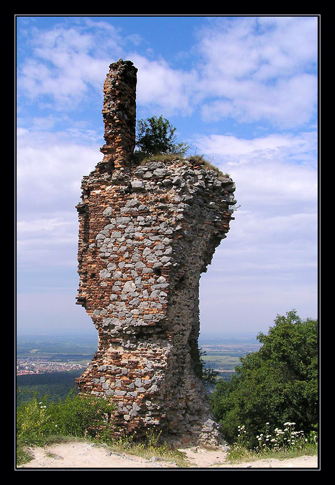 Výstražný prst