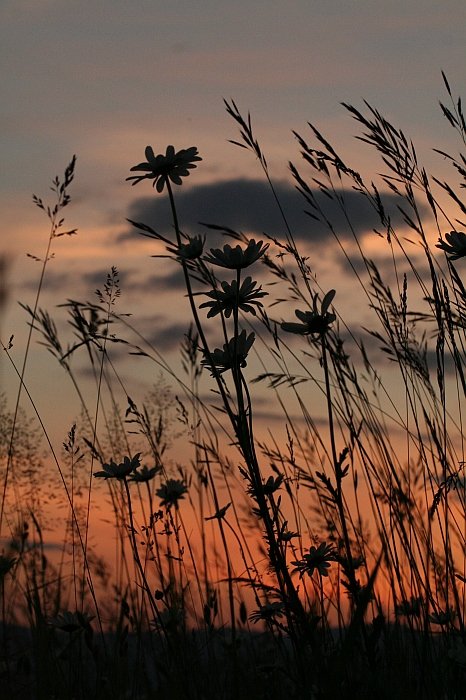 Lúka zaspáva II.