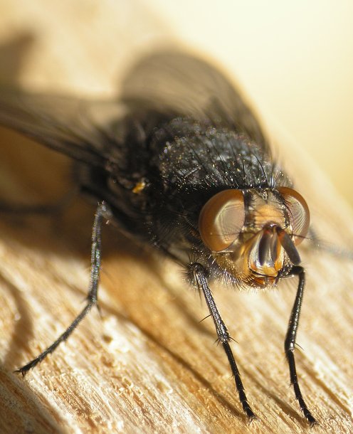 Chvíle soustředění před startem