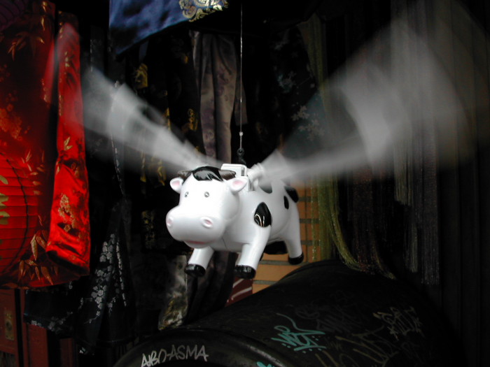 flying pig