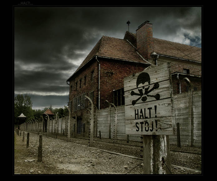...HALT!...