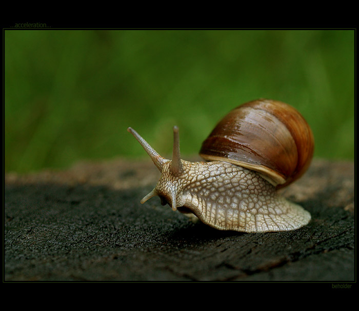 ...acceleration...
