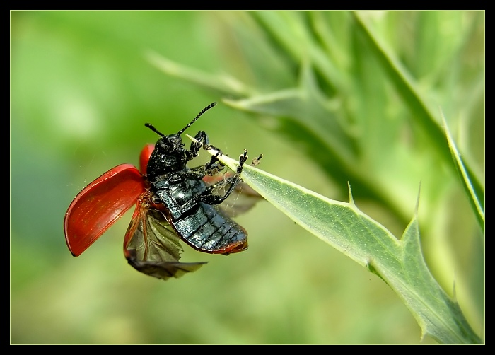 ...už musím ísť....