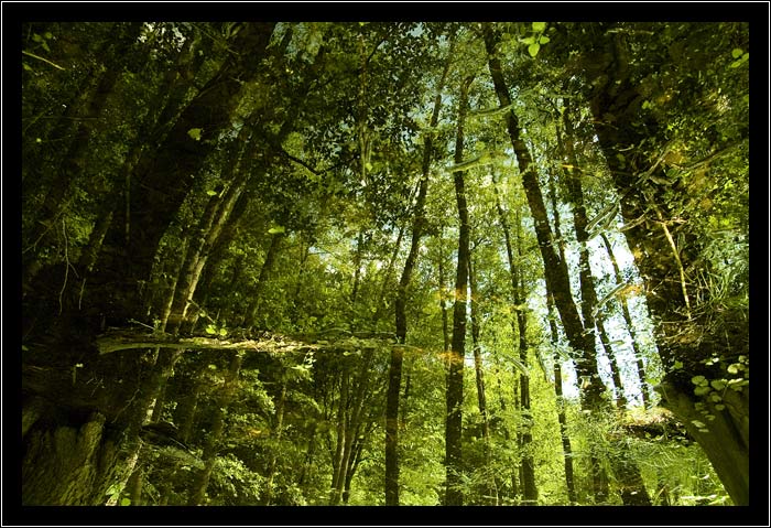 cesta do praveku (I)