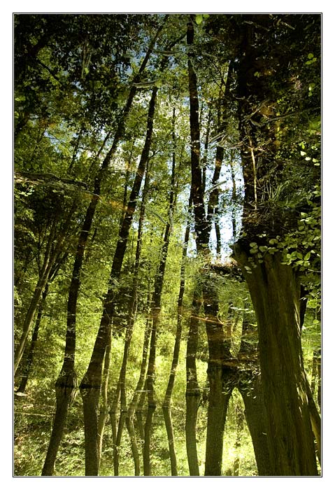 cesta do praveku (II.)