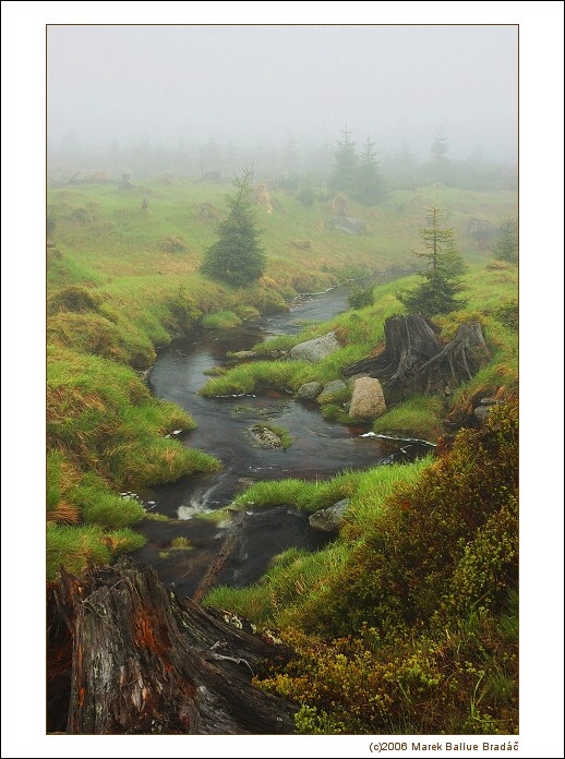 ...Jizerské pařízky...