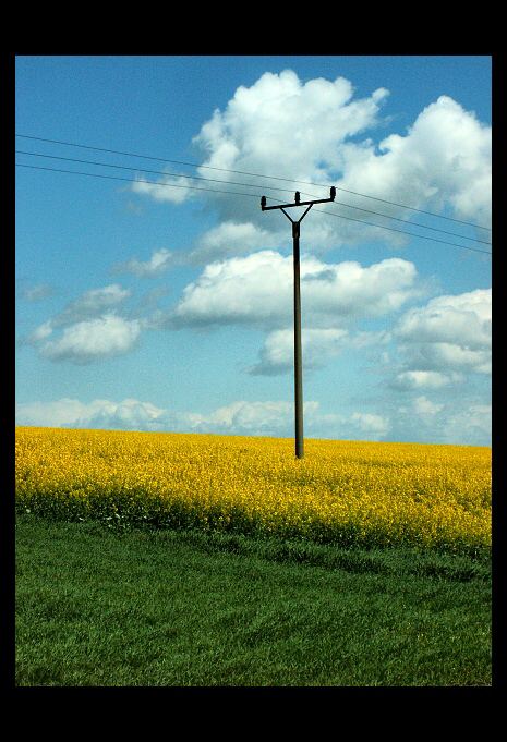 Řepka, sloup, mraky