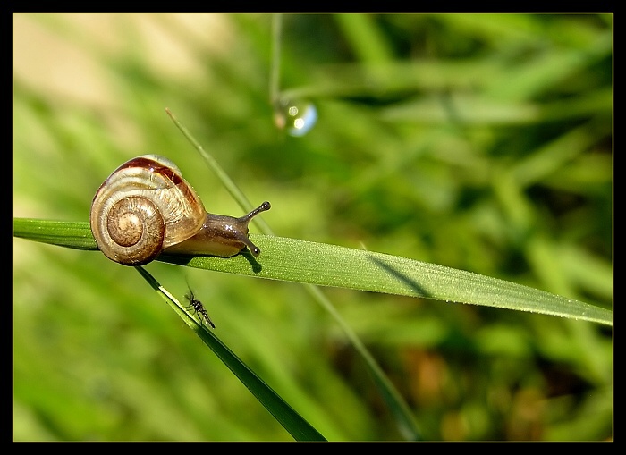 Ranné prebúdzanie...