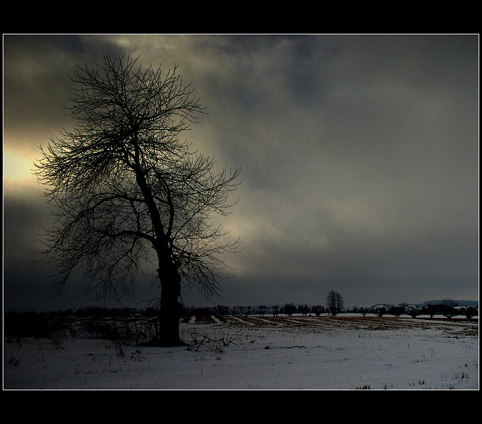 ...solitér...