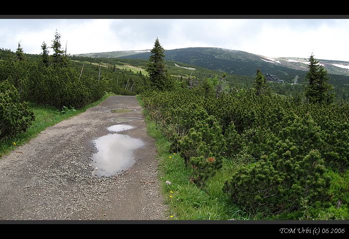 krkonoše v červenci