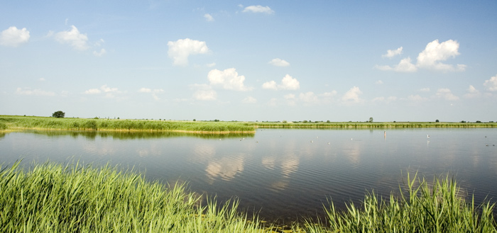 Leto okolo Neusiedleru II