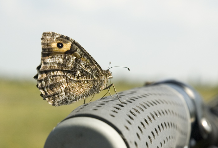 On a môj bike