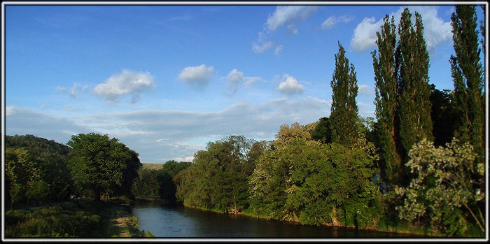 Procházka u řeky II