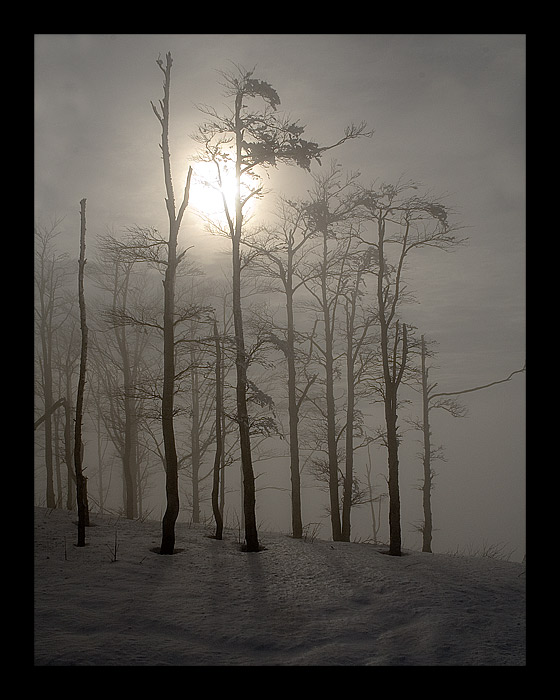 misty way