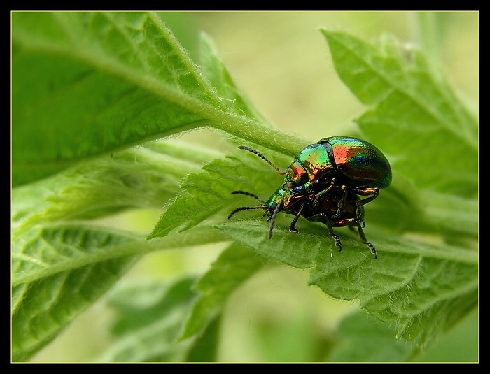 ...už nevládzem...