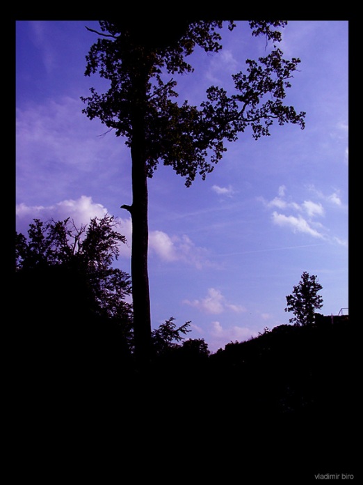 silueta