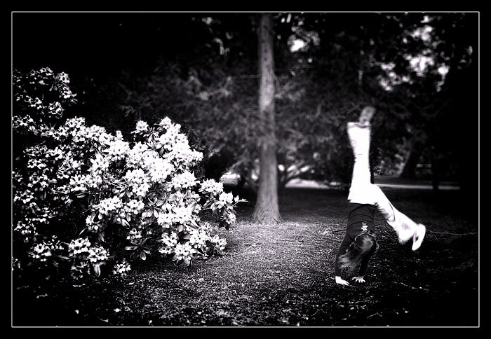 Night dance