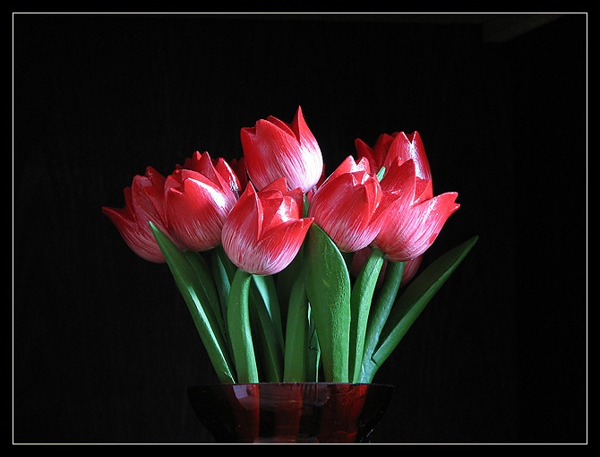 Tulipánky
