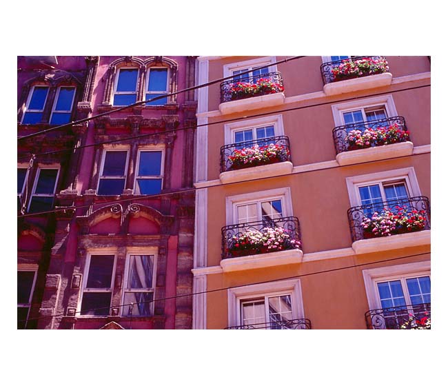 Windows