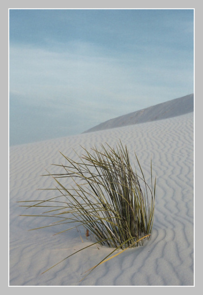 White Sands 1