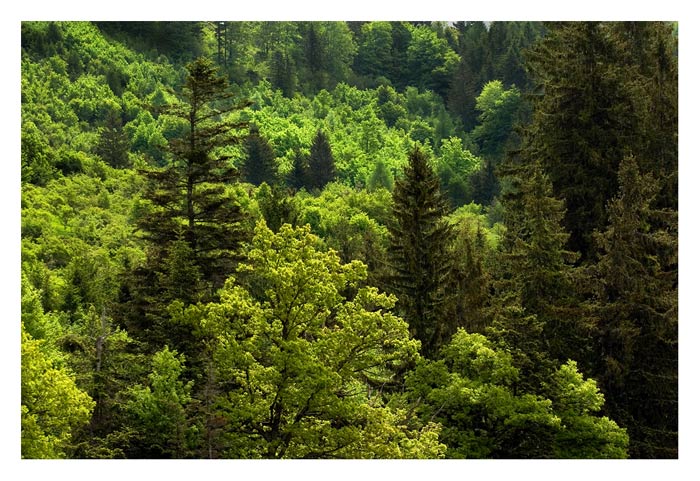 green land