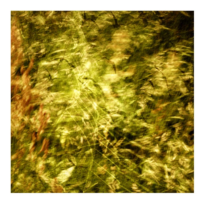 ***ŽIVOT A NADĚJE***