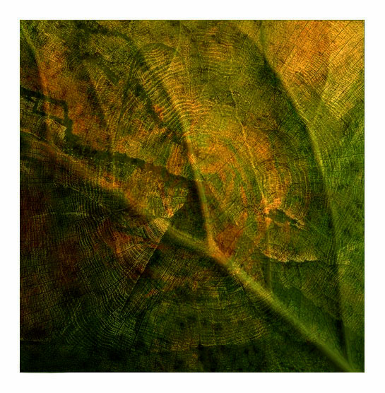 ***Vrásky života***