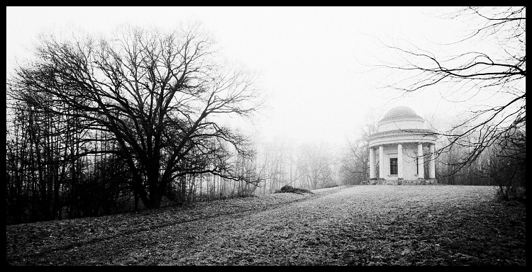 Návraty do veltruského parku XV/A