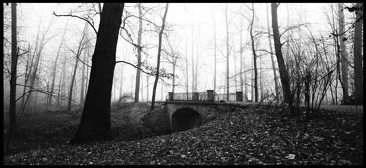 Návraty do veltruského parku XV/C