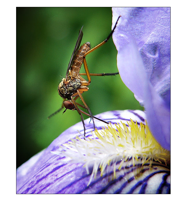 V květinovém baru.