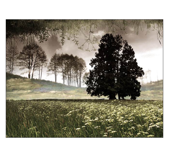 Imaginární  krajina