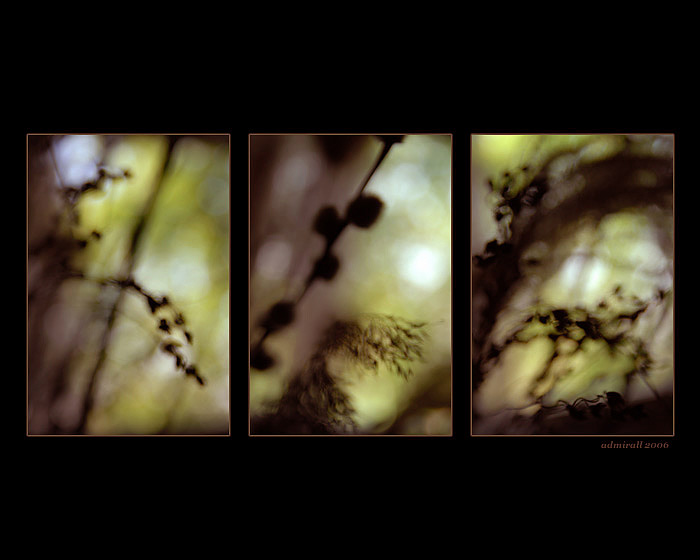 Abstraktné etudy II.