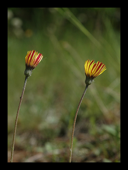 Co to je?
