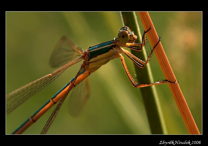 tak ještě jedna...
