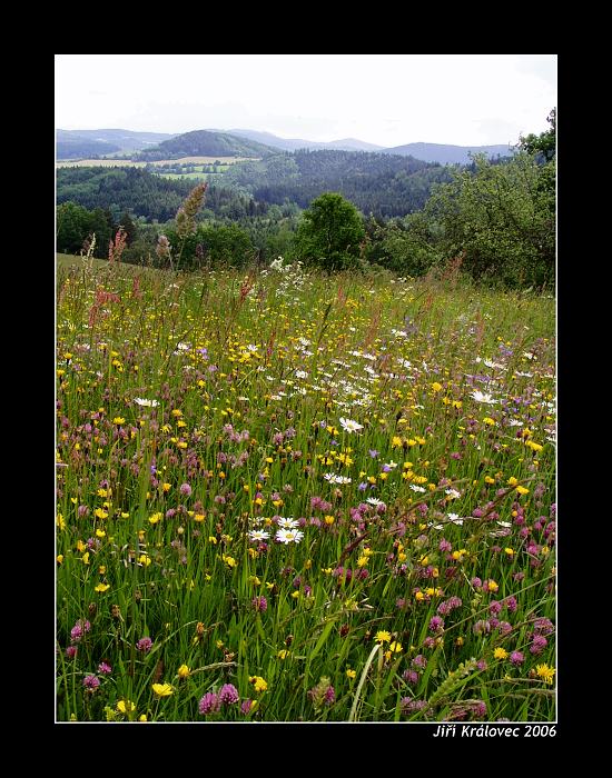 Šumava I