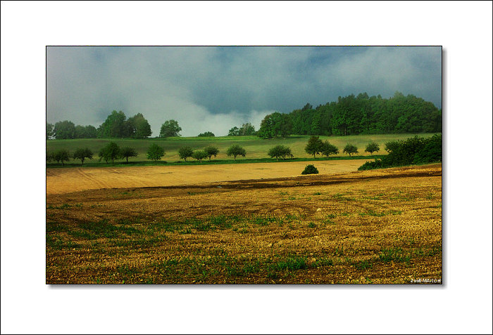 ..:: pozastavenÍ ::..