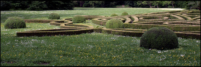 V zámecké zahradě