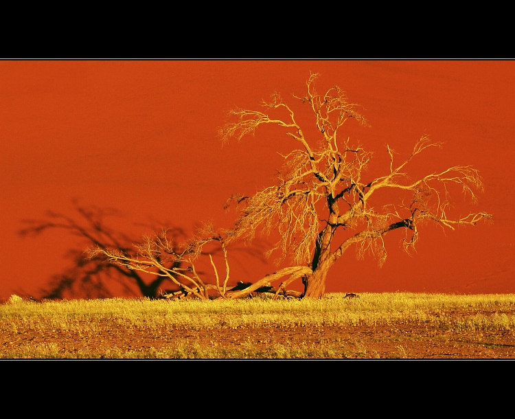 Púšt Namib II.