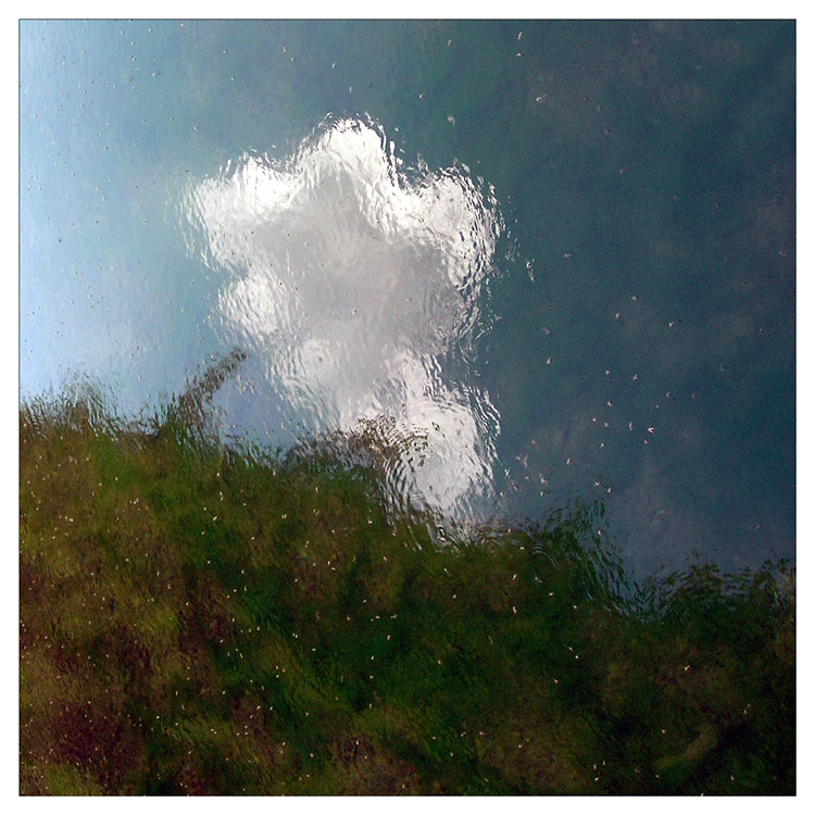 Když vítr zafouká