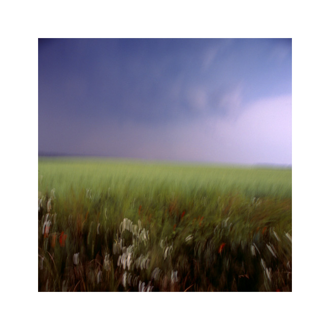 The Catcher in the Rye