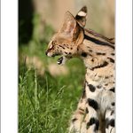 Lidi, no to sem se tak nasmaala ....