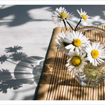 .. ranní, snídaňová ..