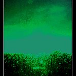 ...zelené snění..