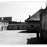 Terezin