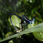 fuck me hard, bitch!