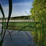 Skryt a pln očekávání ....