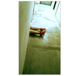 ..:trsk/ii:..